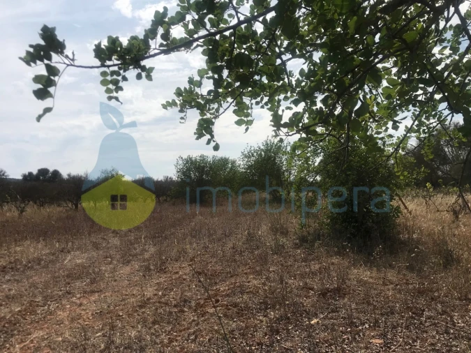 Terreno Agricola ou Rústico para Venda em Paderne Foto 10