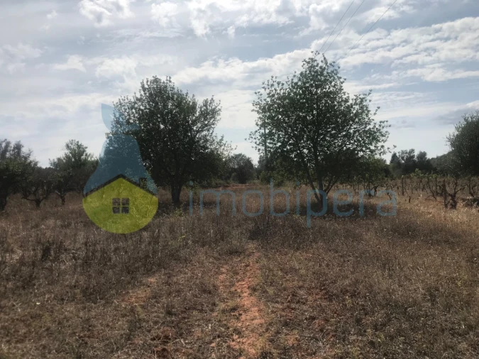 Terreno Agricola ou Rústico para Venda em Paderne Foto 12