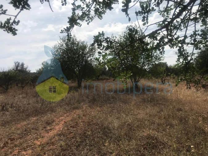 Terreno Agricola ou Rústico para Venda em Paderne Foto 14