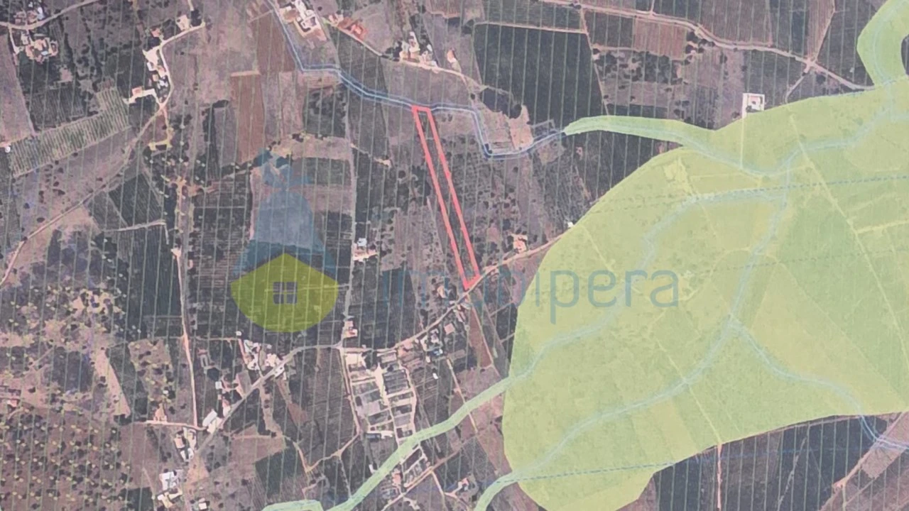 Terreno Agricola ou Rústico para Venda em Alcantarilha e Pêra Foto 6