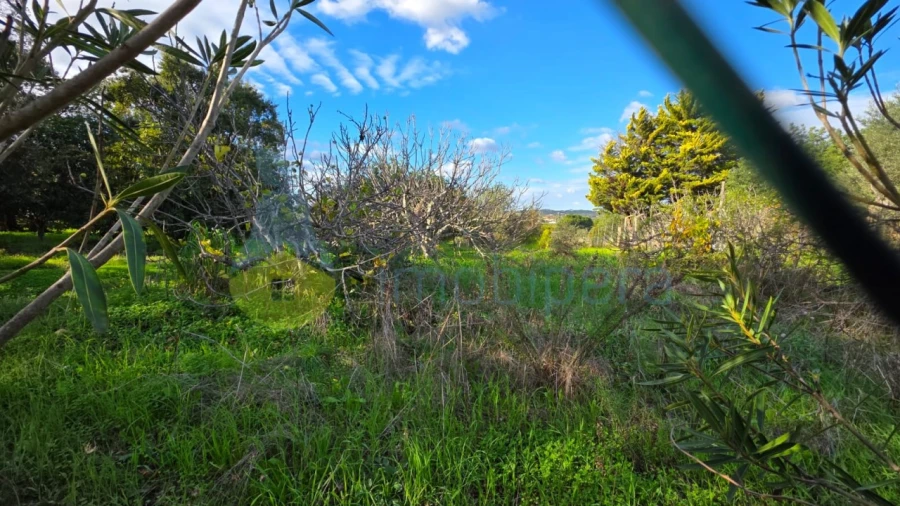 Terreno Agricola ou Rústico para Venda em Alcantarilha e Pêra Foto 2