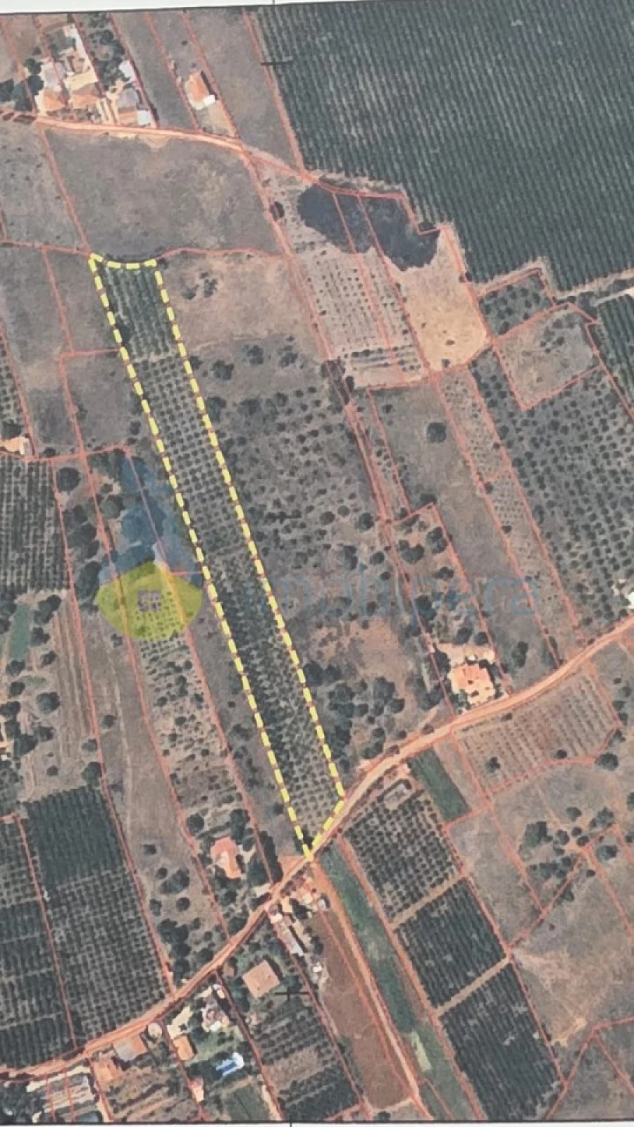 Terreno Agricola ou Rústico para Venda em Alcantarilha e Pêra Foto 3