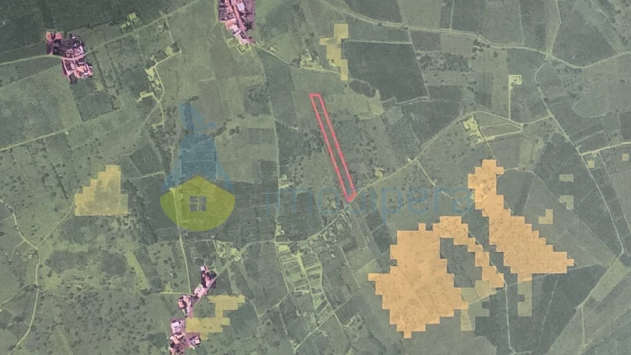 Terreno Agricola ou Rústico para Venda em Alcantarilha e Pêra Foto 4