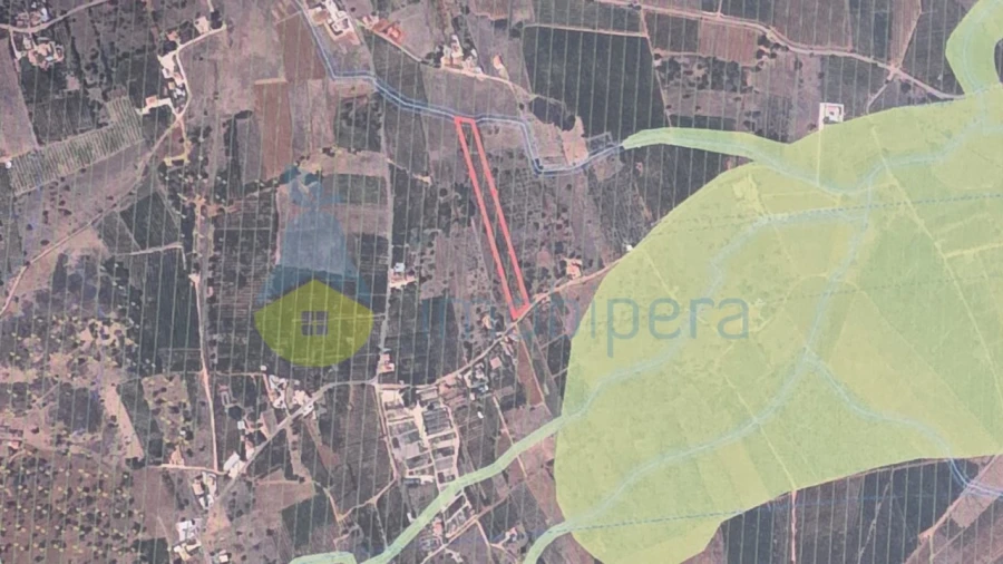 Terreno Agricola ou Rústico para Venda em Alcantarilha e Pêra Foto 6