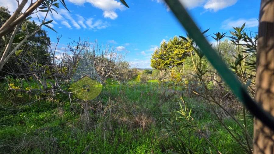 Terreno Agricola ou Rústico para Venda em Alcantarilha e Pêra Foto 7