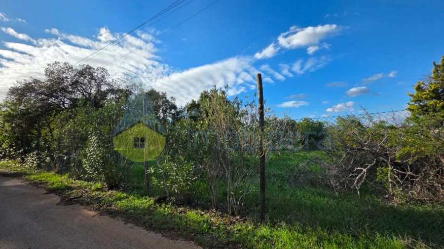 Terreno Agricola ou Rústico para Venda em Alcantarilha e Pêra Foto 9