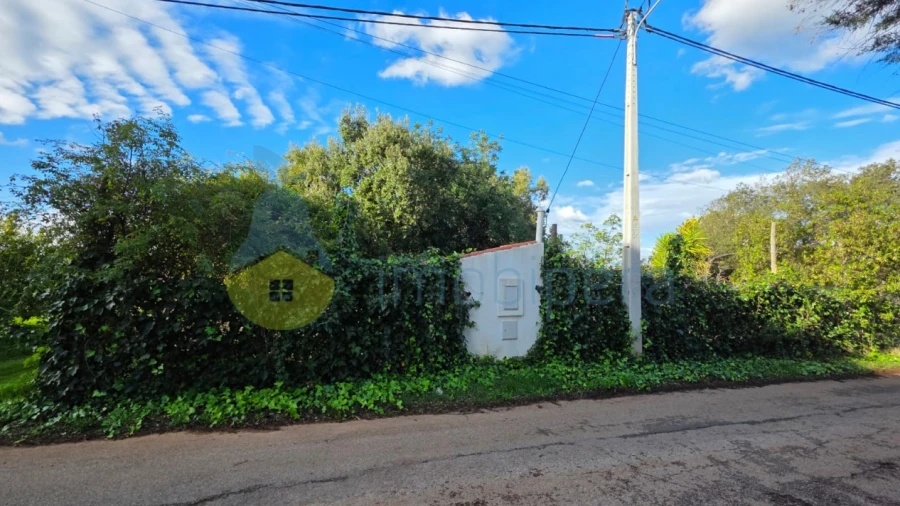 Terreno Agricola ou Rústico para Venda em Alcantarilha e Pêra
