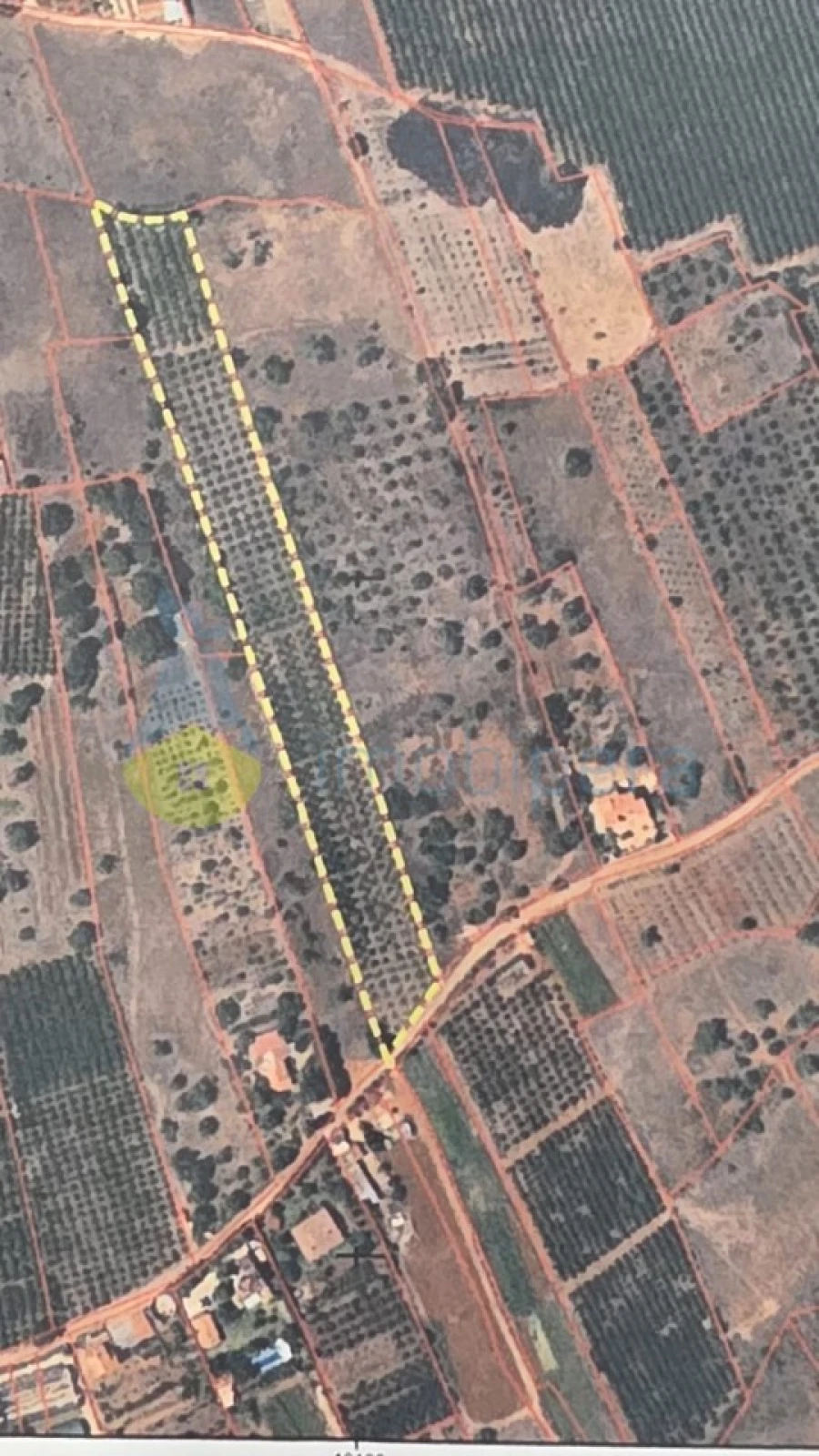 Terreno Agricola ou Rústico para Venda em Alcantarilha e Pêra Foto 5