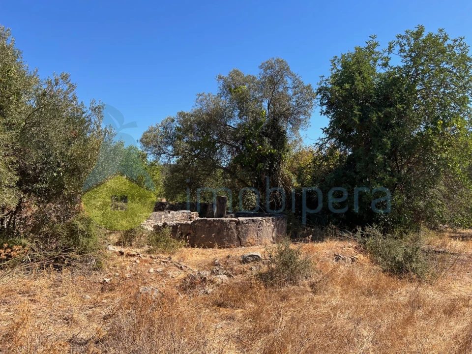 Terreno Misto para Venda em Paderne Foto 1