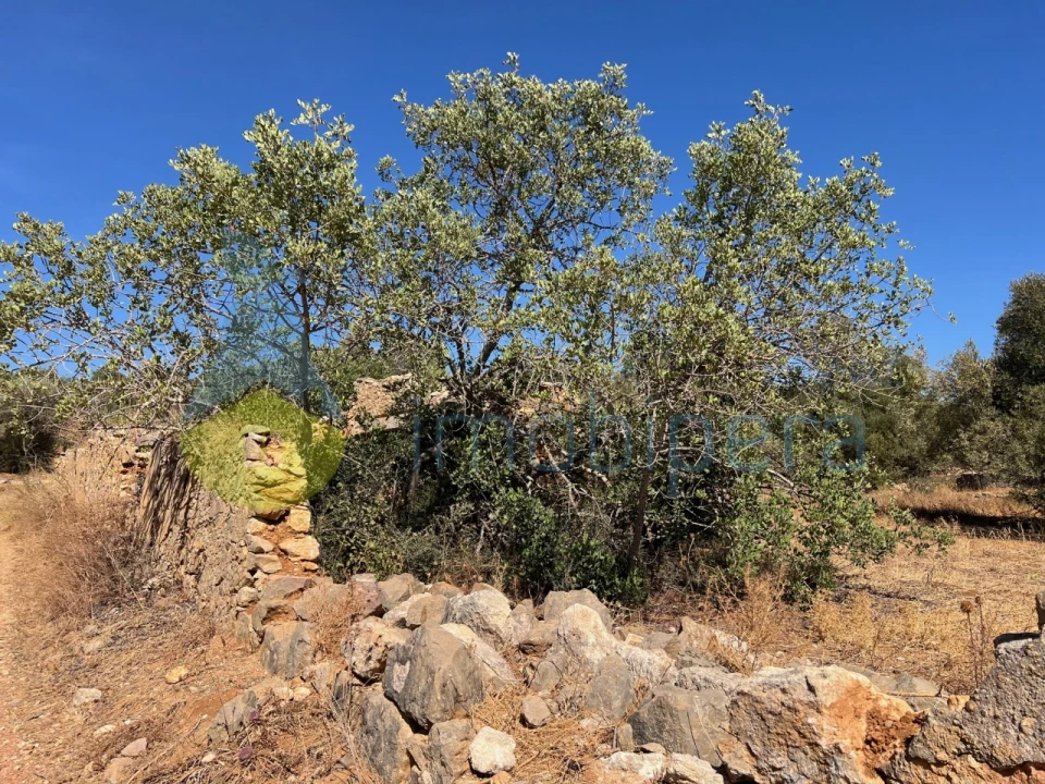 Terreno Misto para Venda em Paderne Foto 2