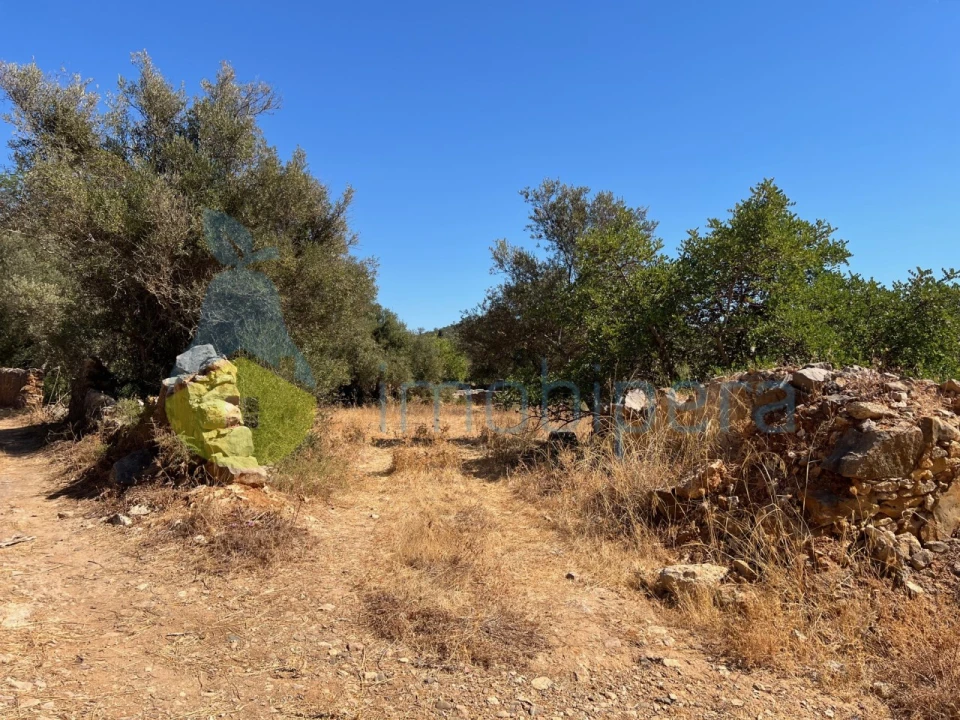 Terreno Misto para Venda em Paderne Foto 3