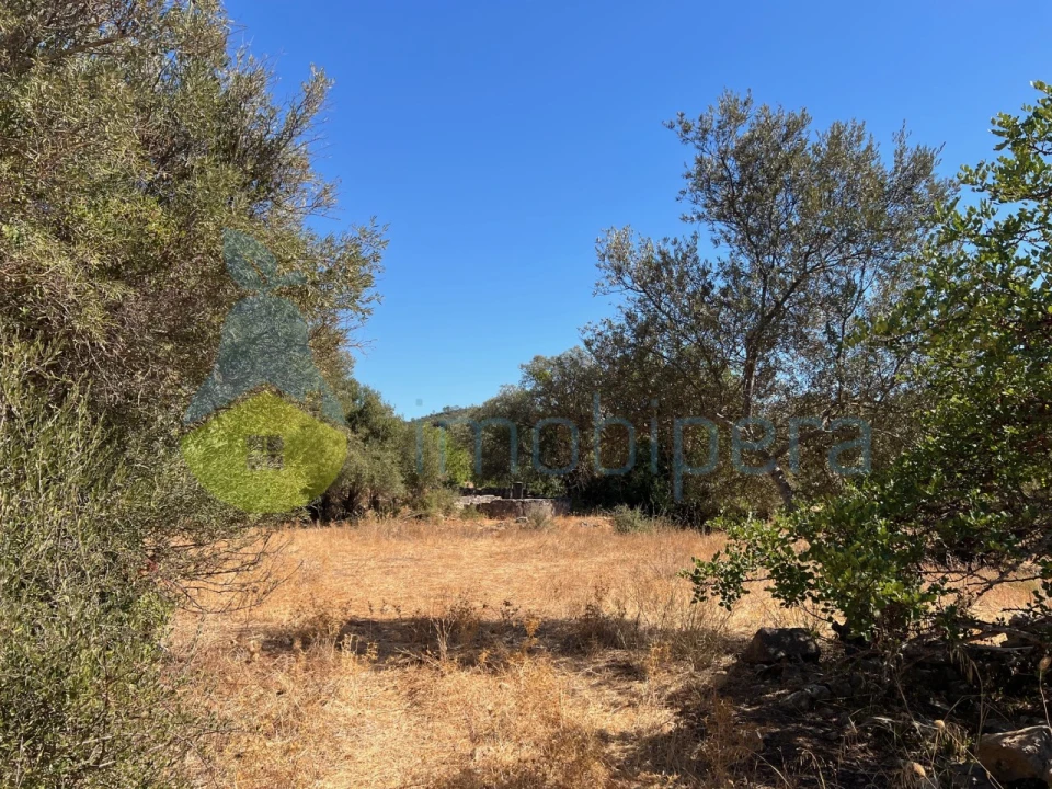 Terreno Misto para Venda em Paderne Foto 6