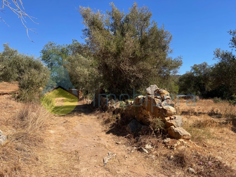 Terreno Misto para Venda em Paderne Foto 10