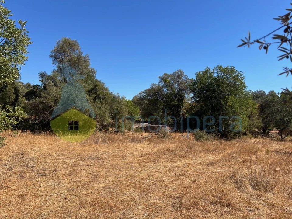 Terreno Misto para Venda em Paderne Foto 13