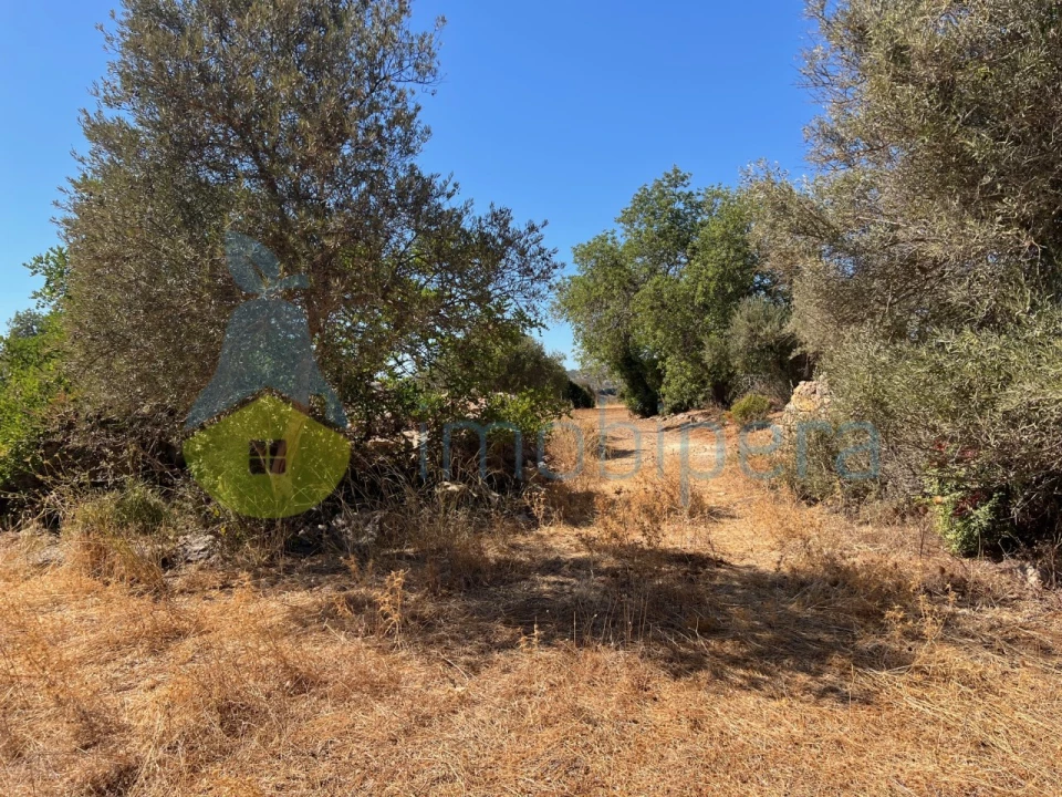 Terreno Misto para Venda em Paderne Foto 15