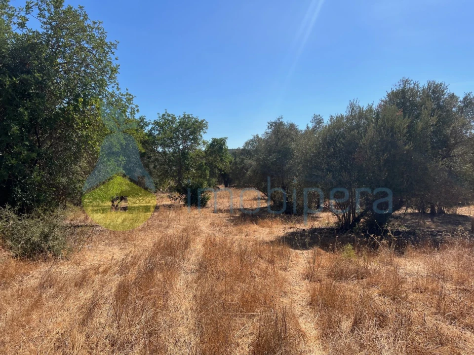 Terreno Misto para Venda em Paderne Foto 17