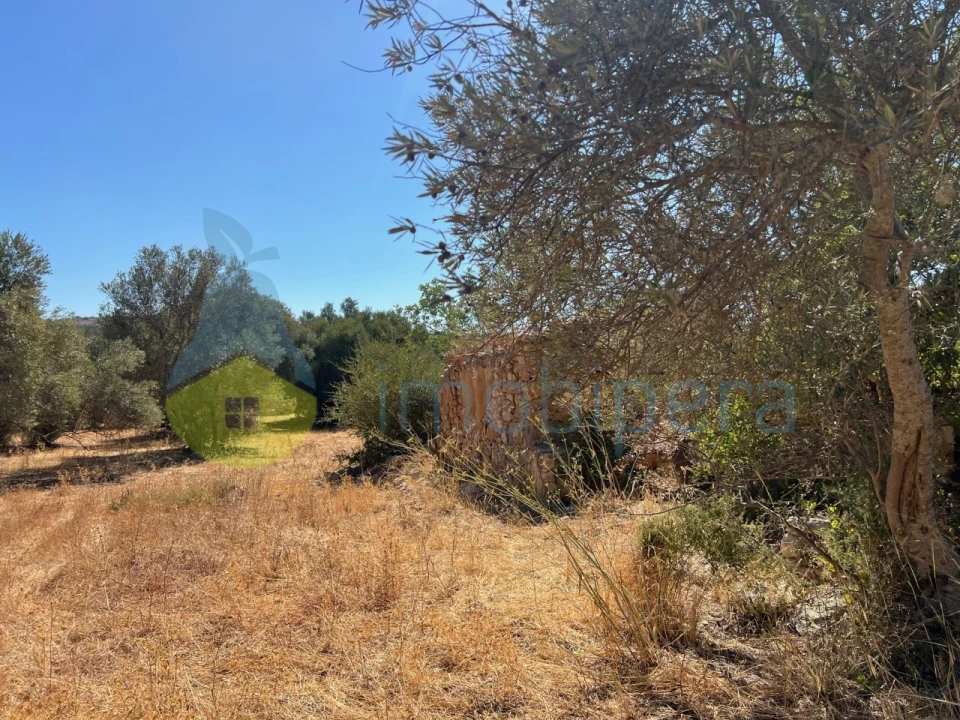 Terreno Misto para Venda em Paderne Foto 18