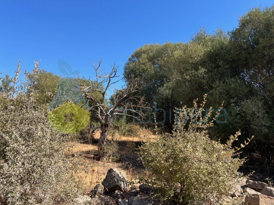 Terreno Misto para Venda em Paderne Foto 19