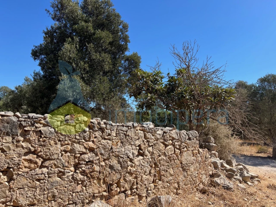 Terreno Misto para Venda em Paderne Foto 21