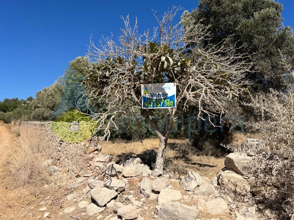 Terreno Misto para Venda em Paderne Foto 23