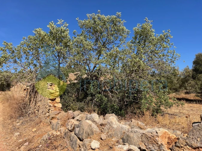 Terreno Misto para Venda em Paderne Foto 2