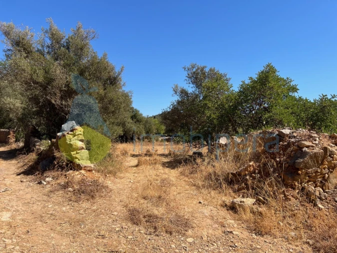 Terreno Misto para Venda em Paderne Foto 3