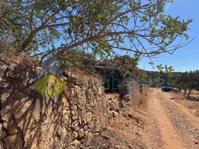 Terreno Misto para Venda em Paderne Foto 4
