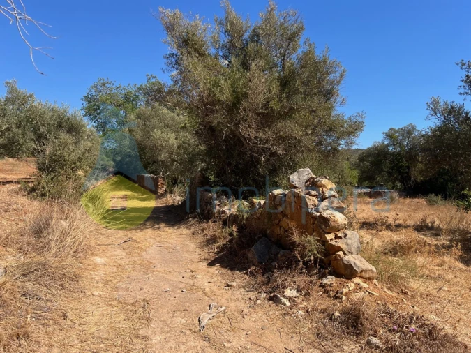 Terreno Misto para Venda em Paderne Foto 5