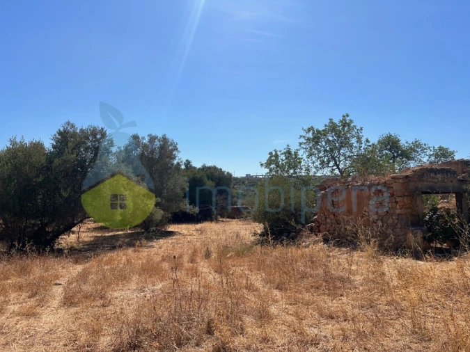 Terreno Misto para Venda em Paderne Foto 7