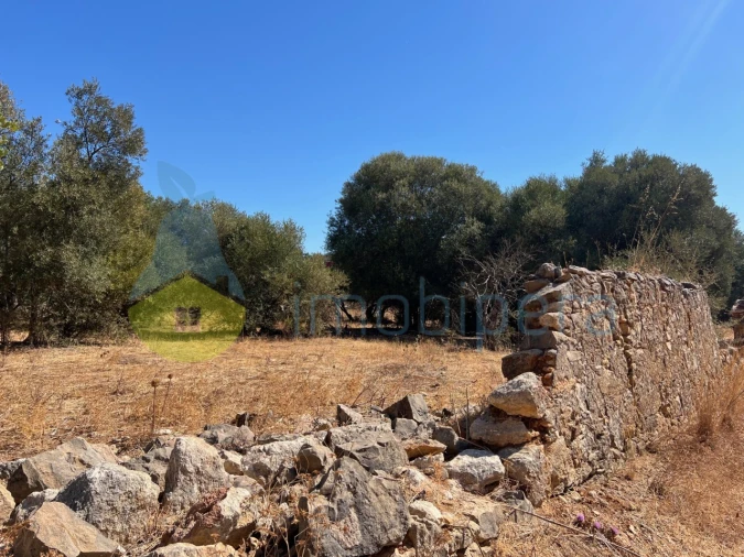 Terreno Misto para Venda em Paderne Foto 9