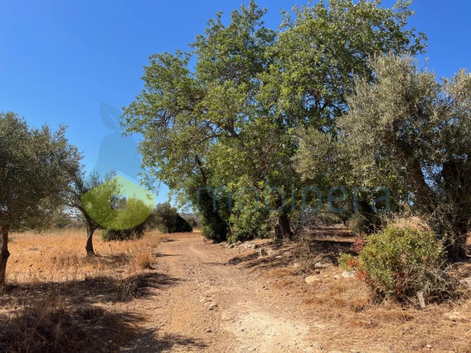 Terreno Misto para Venda em Paderne Foto 11