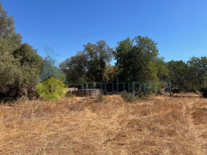 Terreno Misto para Venda em Paderne Foto 16