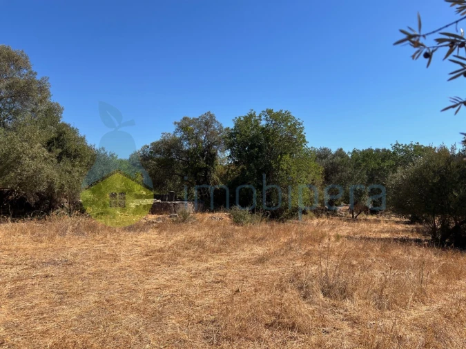 Terreno Misto para Venda em Paderne Foto 20