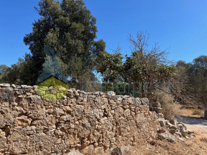 Terreno Misto para Venda em Paderne Foto 21