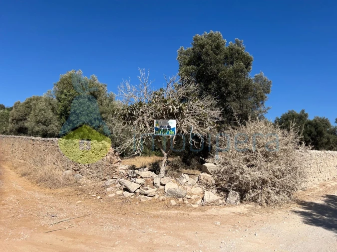 Terreno Misto para Venda em Paderne Foto 22