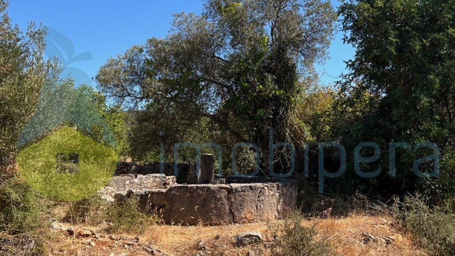 Terreno Misto para Venda em Paderne