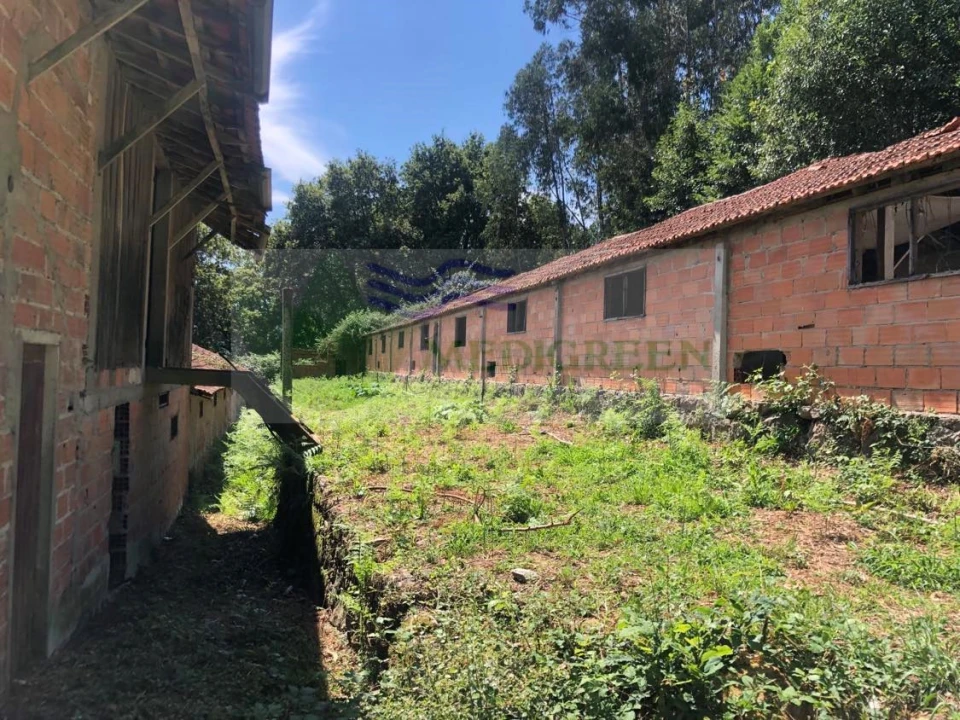 Armazém para Venda em Cedrim e Paradela Foto 1
