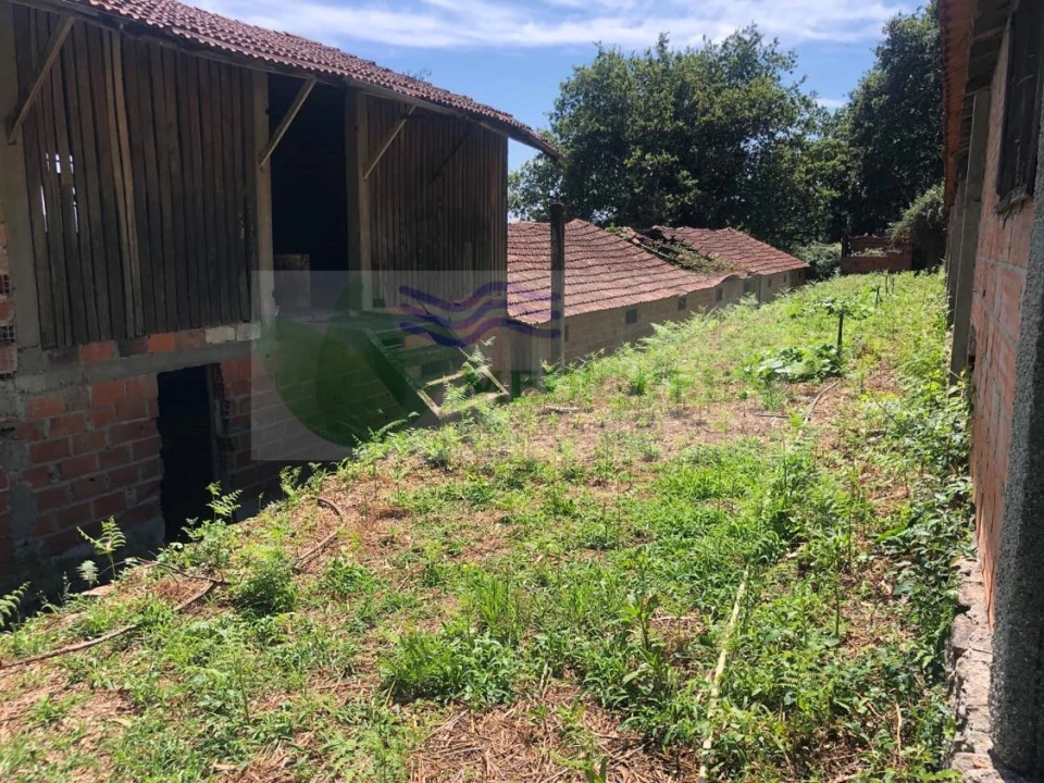 Armazém para Venda em Cedrim e Paradela Foto 15