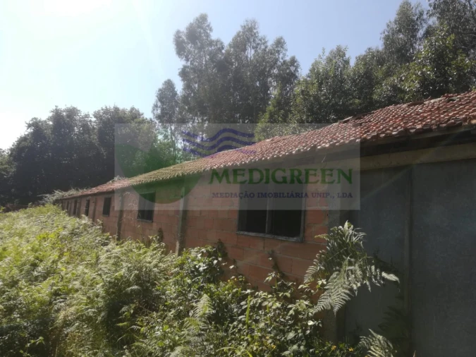 Armazém para Venda em Cedrim e Paradela Foto 5