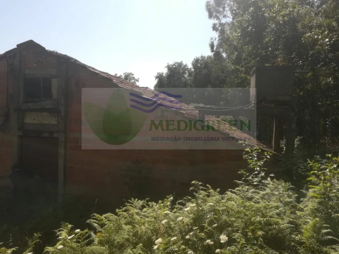 Armazém para Venda em Cedrim e Paradela Foto 6