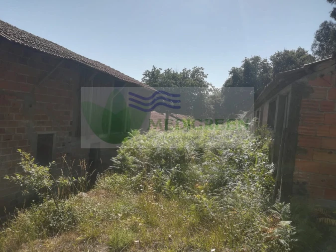 Armazém para Venda em Cedrim e Paradela Foto 8