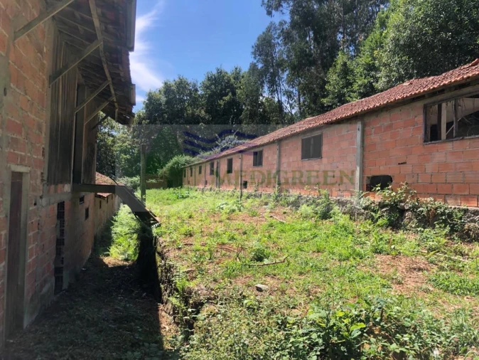 Armazém para Venda em Cedrim e Paradela