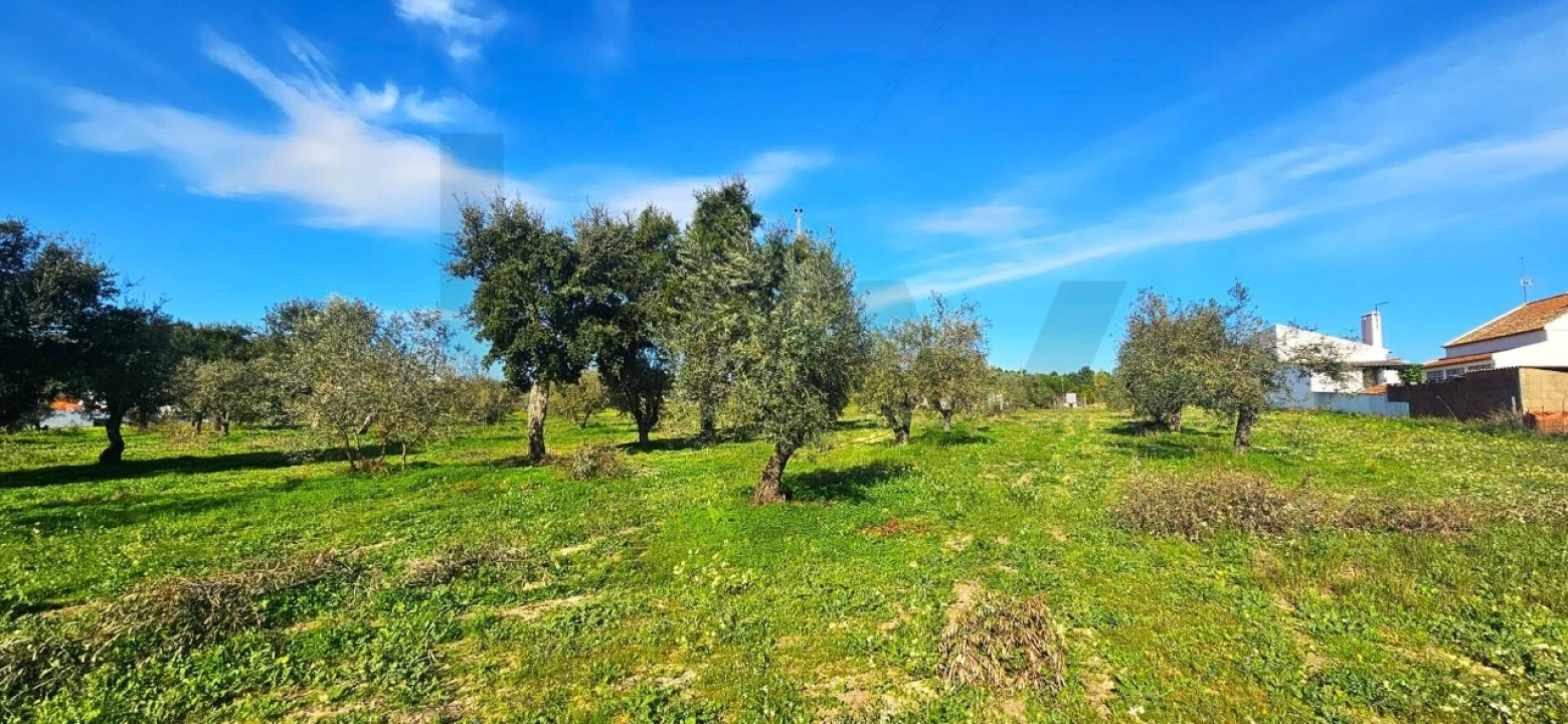 Terreno para Venda em Melides Foto 12