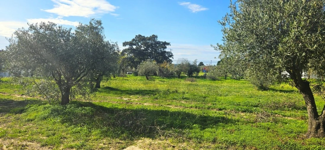 Terreno para Venda em Melides Foto 7