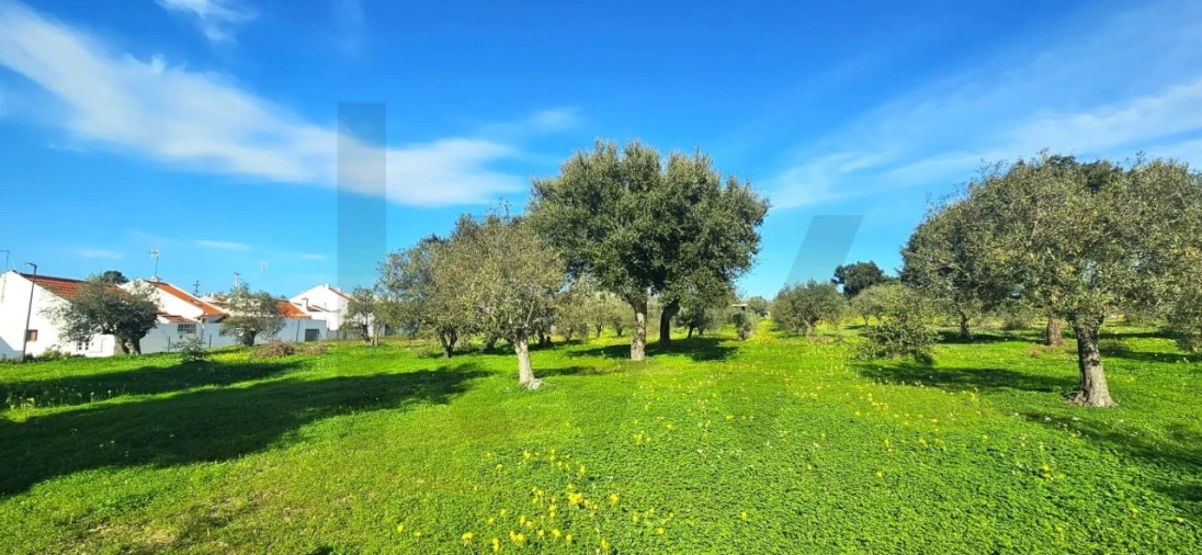 Terreno para Venda em Melides Foto 16