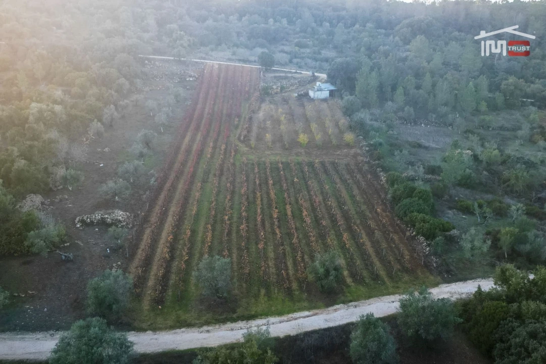 Terreno Agricola ou Rústico para Arrendamento em Nossa Senhora das Misericordias Foto 1