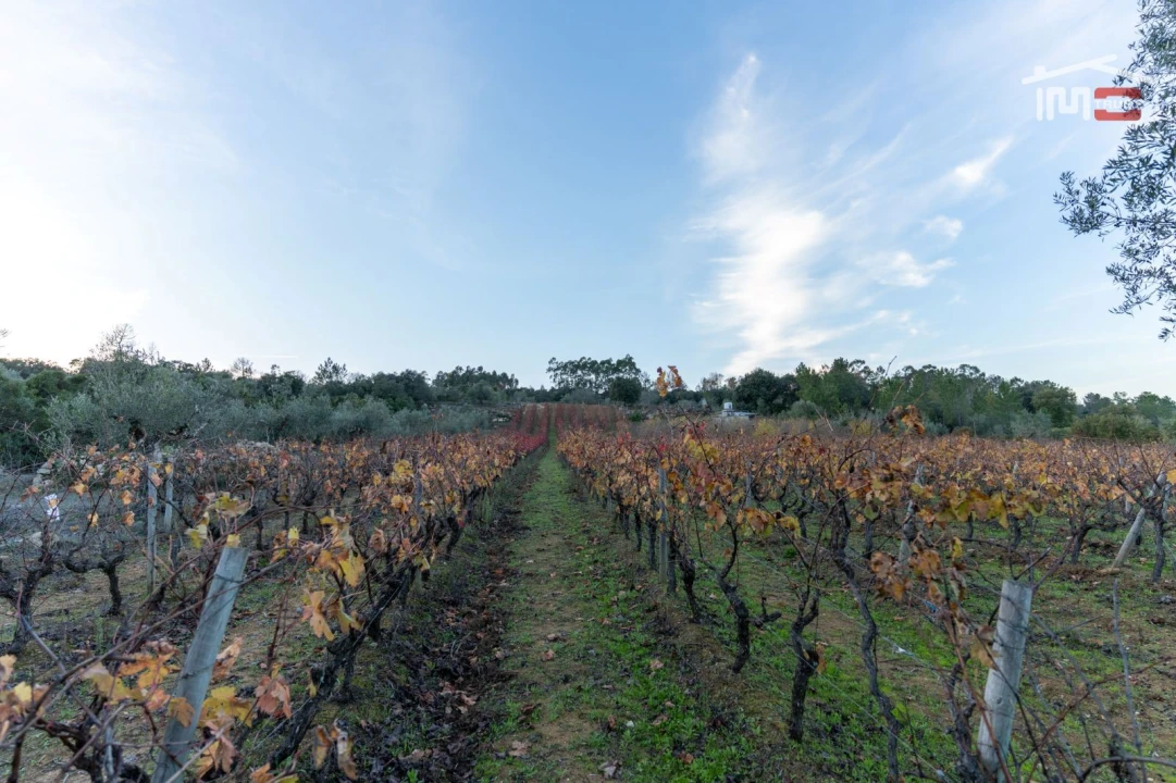 Terreno Agricola ou Rústico para Arrendamento em Nossa Senhora das Misericordias Foto 10