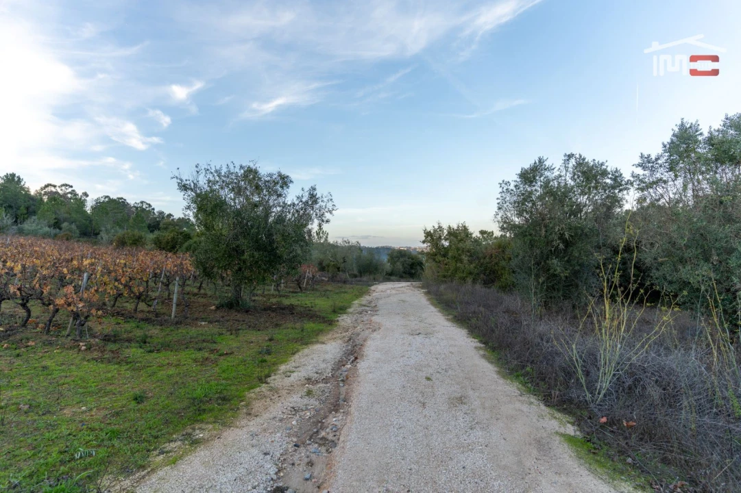 Terreno Agricola ou Rústico para Arrendamento em Nossa Senhora das Misericordias Foto 11