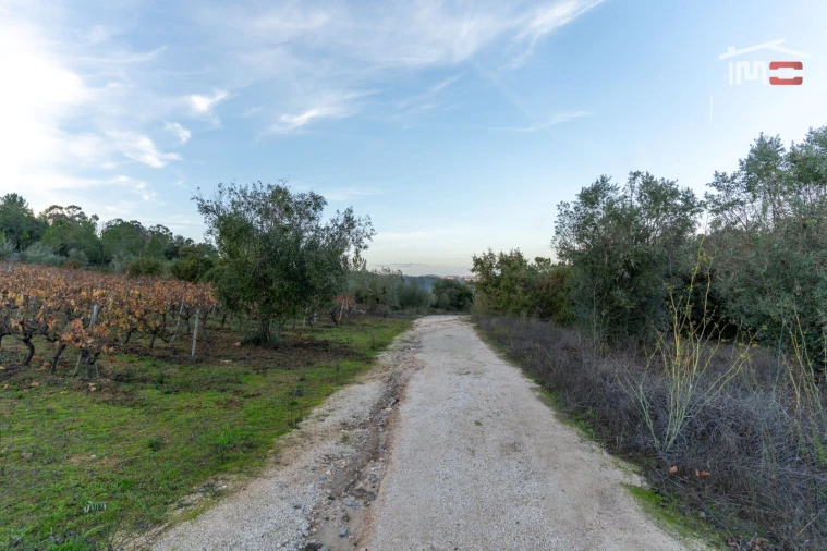 Terreno Agricola ou Rústico para Arrendamento em Nossa Senhora das Misericordias Foto 11