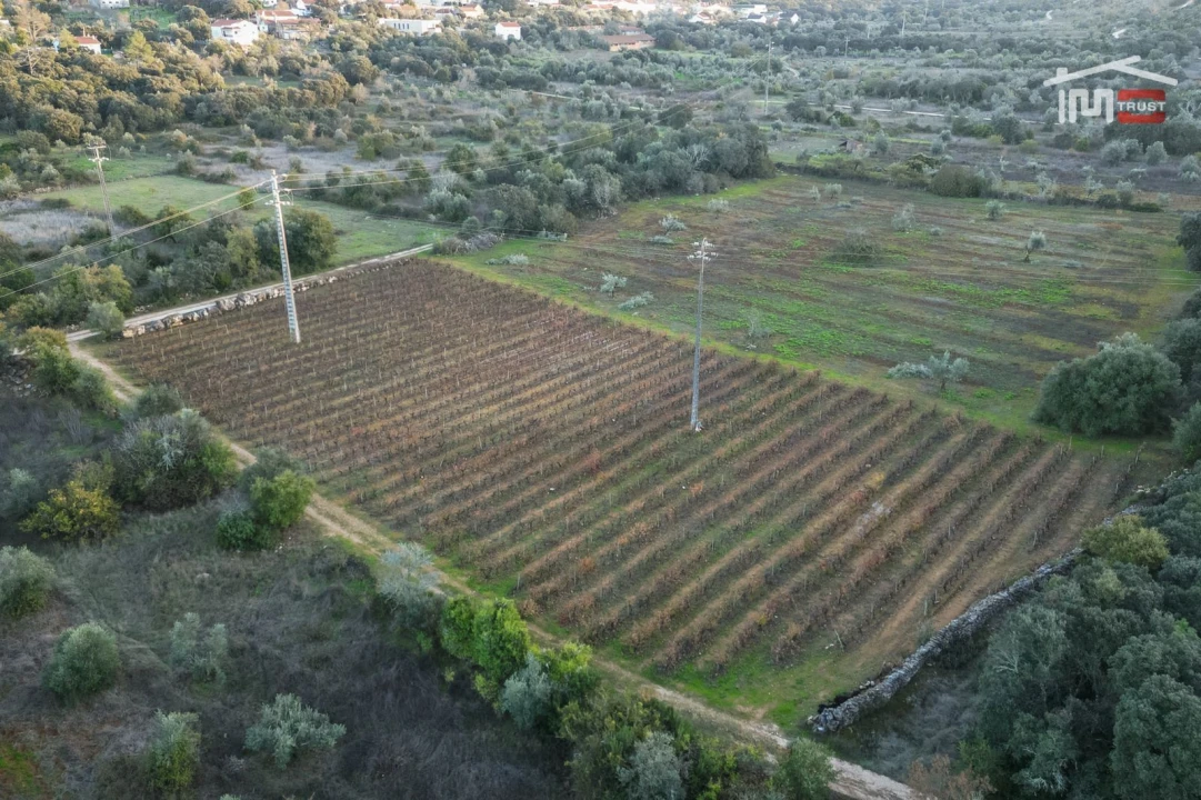 Terreno Agricola ou Rústico para Arrendamento em Nossa Senhora das Misericordias Foto 1